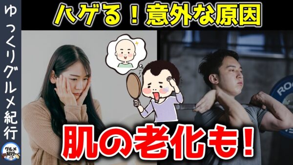 【ゆっくり解説】ハゲ、ニキビ、肌の老化の原因はコレだった！知らずに後悔する脂質の重要性について