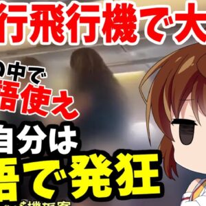 【ゆっくり解説】博多発台北行飛行機の中で暴れたバーさんがやばすぎた