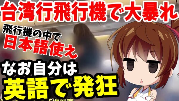 【ゆっくり解説】博多発台北行飛行機の中で暴れたバーさんがやばすぎた