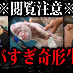 閲覧注意！突然変異で生まれた奇形生物１０選【ゆっくり解説】
