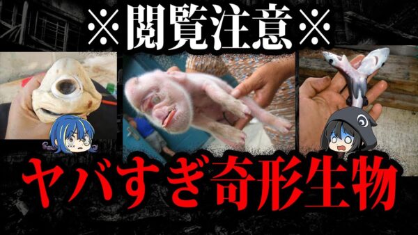 閲覧注意！突然変異で生まれた奇形生物１０選【ゆっくり解説】