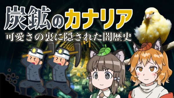【闇歴史】「炭鉱のカナリア」可愛さの裏に隠れた恐るべき真実