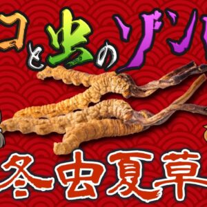 【神秘】虫をゾンビ化させるキノコ！？冬虫夏草のヤバすぎる戦略【へんないきもの#102】