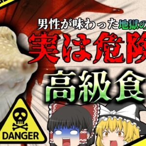 【2004年】偶然釣れた