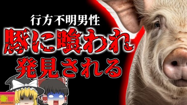 【2012年】 豚舎の中で発見された