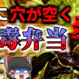 【2014年】全くの無自覚で猛毒を振りまいていてしまった男性…美味しいカレー弁当についていた恐ろしい菌『腸チフス集団食中毒』【ゆっくり解説】