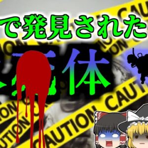 【2016年】原子力発電所で発見された水〇体…警備中だった彼に一体何が？【ゆっくり解説】