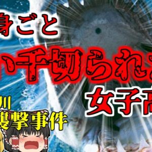 【2023年】「イルカの群れだ！一緒に泳いでみよう」川に飛び込んだ女子高生を待っていたのは