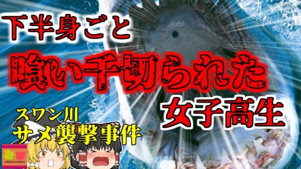 【2023年】「イルカの群れだ！一緒に泳いでみよう」川に飛び込んだ女子高生を待っていたのは