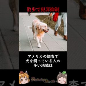 近年解明されたばかりの犬の秘密3選 #shorts