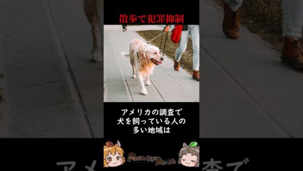 近年解明されたばかりの犬の秘密3選 #shorts