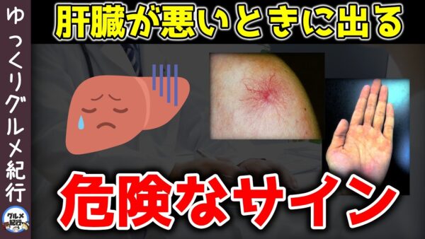 【ゆっくり解説】放置厳禁！ 肝臓が悪い時に出る危険な7つの症状！肝機能が低下する原因