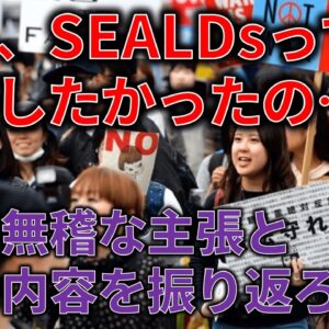 【ゆっくり解説】クソダサラップ集団、SEALDsが失敗した理由