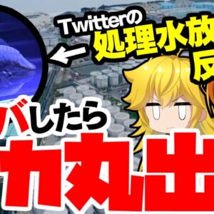 【マジでバカ】Twitter？Xの福島処理水反対派とレスバした結果、超理論の連続過ぎて腹筋崩壊【ゆっくり解説】