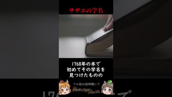 日本人が食べてるサザエ、まさかの学名のない新種だった #shorts
