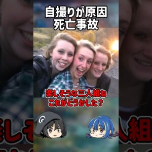 【１分解説】自撮りが原因で起きた死亡事故【ゆっくり解説】#shorts