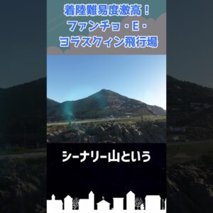 着陸が難しくて草しか生えない空港があるらしい #shorts