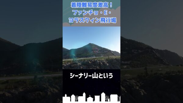 着陸が難しくて草しか生えない空港があるらしい #shorts