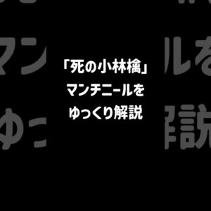 【１分解説】実在する毒林檎？マンチニールとは【ゆっくり解説】#shorts
