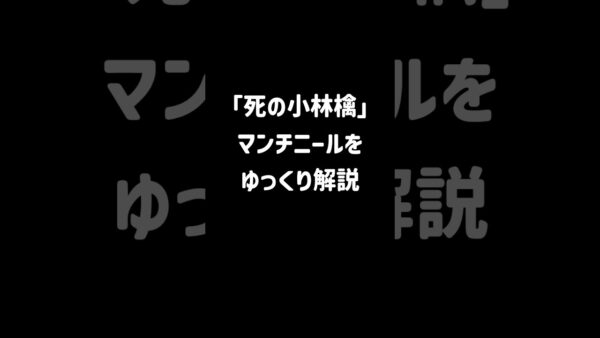 【１分解説】実在する毒林檎？マンチニールとは【ゆっくり解説】#shorts