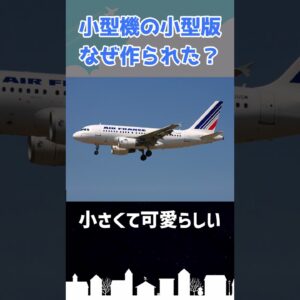 小型機を小型化した結果… #shorts