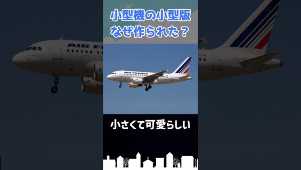 小型機を小型化した結果… #shorts