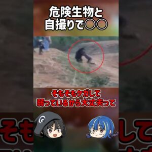 【１分解説】危険生物と自撮りした男とは？【ゆっくり解説】#shorts