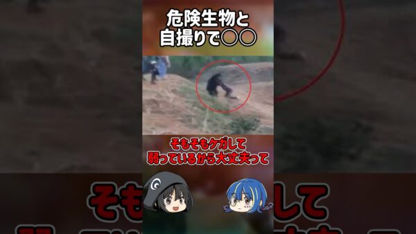 【１分解説】危険生物と自撮りした男とは？【ゆっくり解説】#shorts
