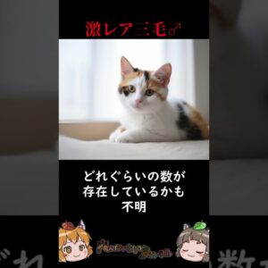 三毛猫のオスは地球にほぼ存在しない #shorts