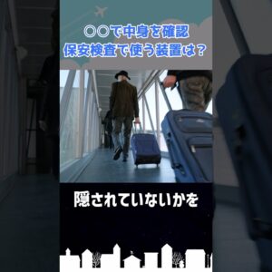 手荷物に危険物があったらバレます（ラスト閲覧注意） #shorts