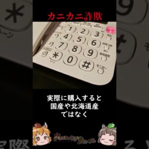 年末やってくるカニカニ詐欺に要注意 #shorts