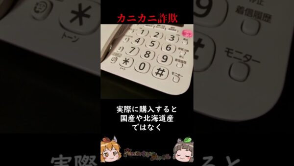 年末やってくるカニカニ詐欺に要注意 #shorts