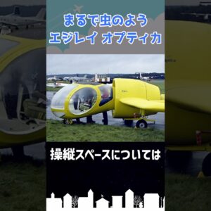 「虫の目」と呼ばれた航空機がある #shorts