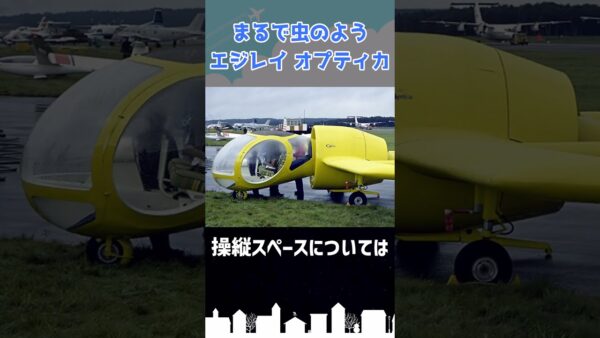 「虫の目」と呼ばれた航空機がある #shorts