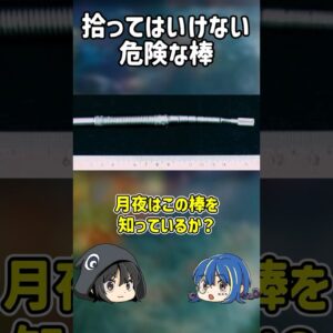 【１分解説】危険すぎるの死の棒とは？【ゆっくり解説】#shorts