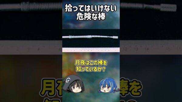 【１分解説】危険すぎるの死の棒とは？【ゆっくり解説】#shorts