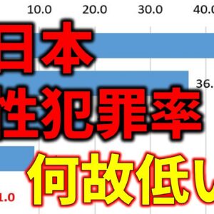 【ゆっくり解説】日本の性犯罪率はめちゃくちゃ低い！一体どうして？