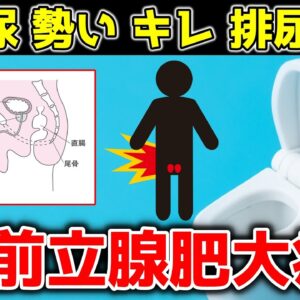 放置厳禁！超意外な前立腺肥大症のリスク！改善予防する方法【ゆっくり解説】