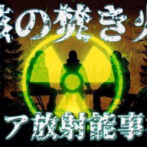 【ゆっくり解説】核の焚き火:リア放射能事故について語るぜ！
