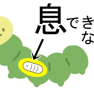 【ゆっくり解説】寄生虫は体の中でどうやって呼吸しているの？【第一回いい質問大賞】