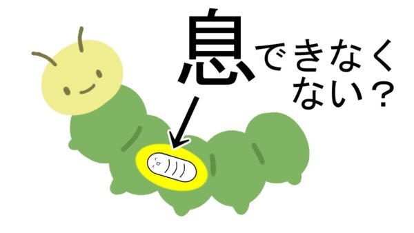 【ゆっくり解説】寄生虫は体の中でどうやって呼吸しているの？【第一回いい質問大賞】