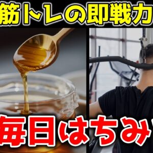 はちみつを毎日食べると筋肉はどうなるのか？筋分解の抑制や体に起こることとは【ゆっくり解説】