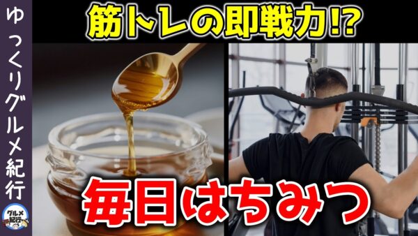 はちみつを毎日食べると筋肉はどうなるのか？筋分解の抑制や体に起こることとは【ゆっくり解説】