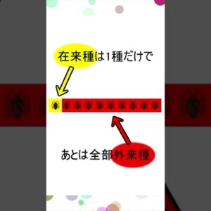 ゴキブリはどうして家に出るの？