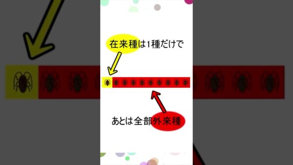 ゴキブリはどうして家に出るの？