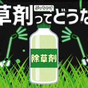 【徹底解説】除草剤ってぶっちゃけどうなの？驚愕の効果と安全性について