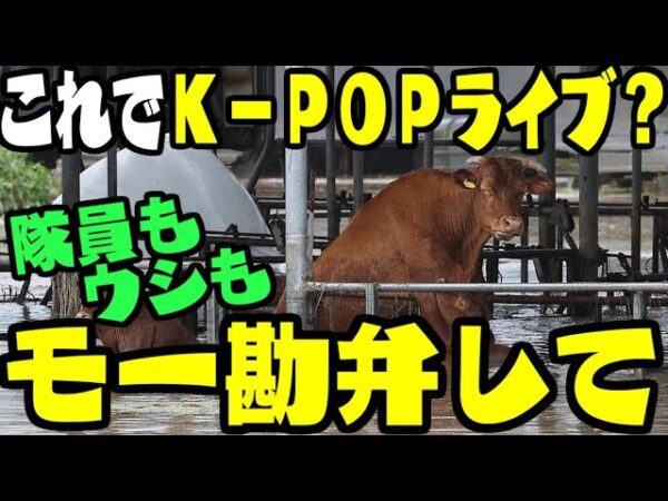 韓国、スカウト大会の挽回に必死すぎて台風被害甚大な中、公共機関の人間を1000人動員してでもK POPコンサートをやる模様【ゆっくり解説】