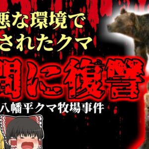 【2012年】最悪の動物園経営 飢餓状態のヒグマたち 従業員のミスを見逃さず脱走し、人間に復讐する…『秋田八幡平クマ牧場事件』【ゆっくり解説】