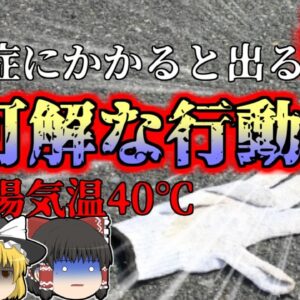 【2015年】意味不明な行動を繰り返す恐ろしい症状 …直ぐに気づかなければいけなかった『道路清掃熱中症事故』【ゆっくり解説】