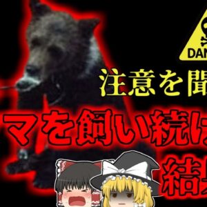 【2019年】警告を無視し子熊をペットとして飼育していた男性 飼っていた猟犬共々骨になって発見される…『メンブラーヒグマ襲撃事件』【ゆっくり解説】